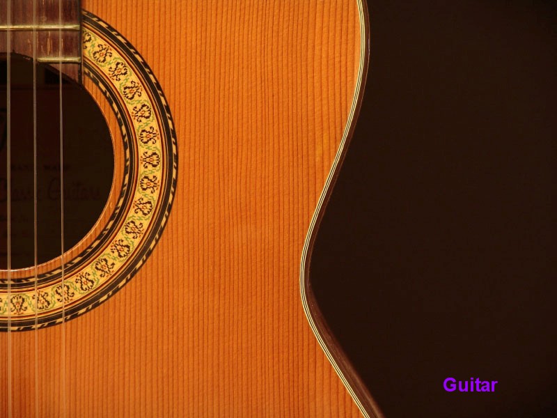 Guitar